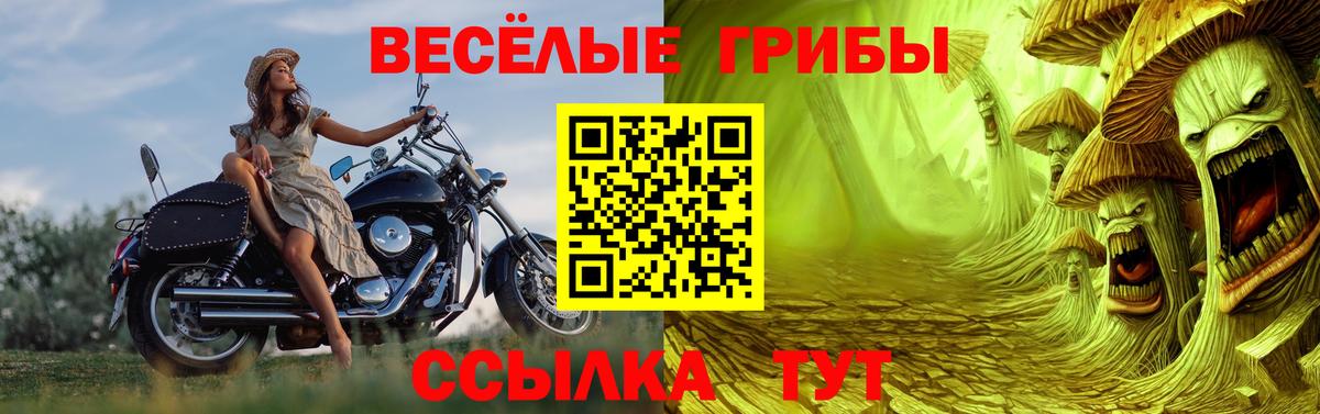 Галлюциногенные грибы MAGIC MUSHROOMS Рыбинск
