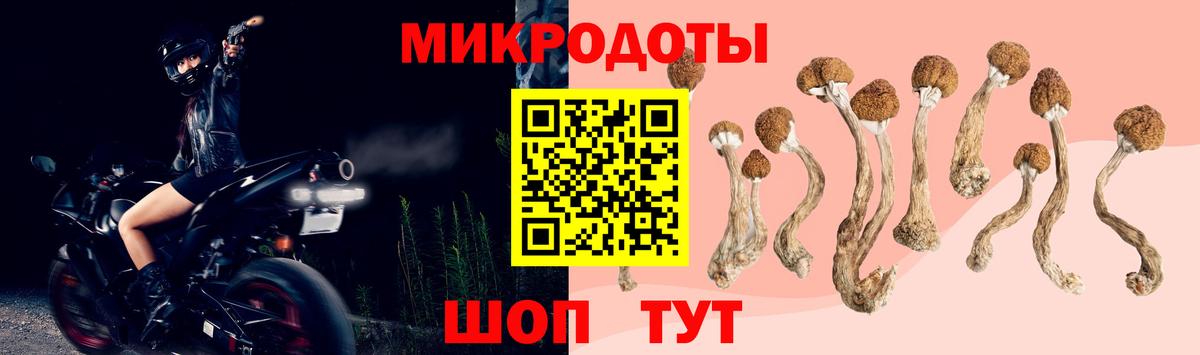 Рыбинск  Псилоцибиновые грибы Magic Shrooms  Вход с VPN 